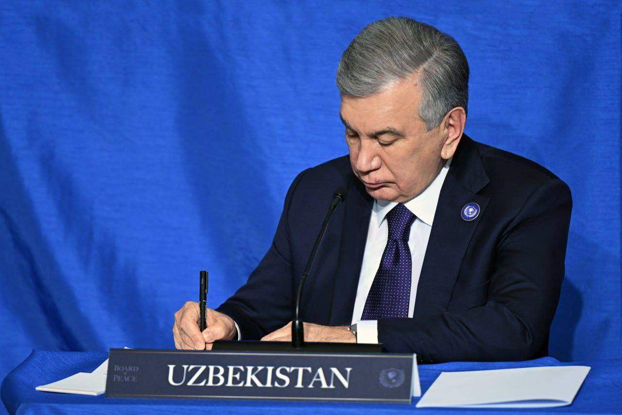 Oʻzbekiston Prezidenti Tinchlik kengashining Gʻazo sektori boʻyicha faoliyatining ustuvor yoʻnalishlarini belgilab berdi 3