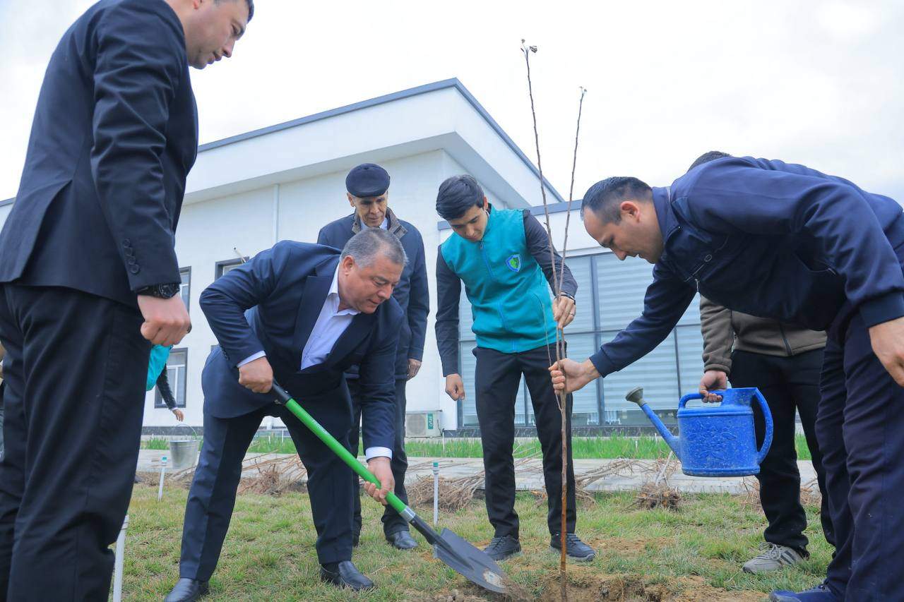 Rektor “Yashil makon” loyihasi doirasida talaba-yoshlar bilan ko‘chat ekdi 4